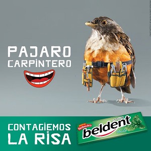 img relacionada con el articulo publicado aquí.