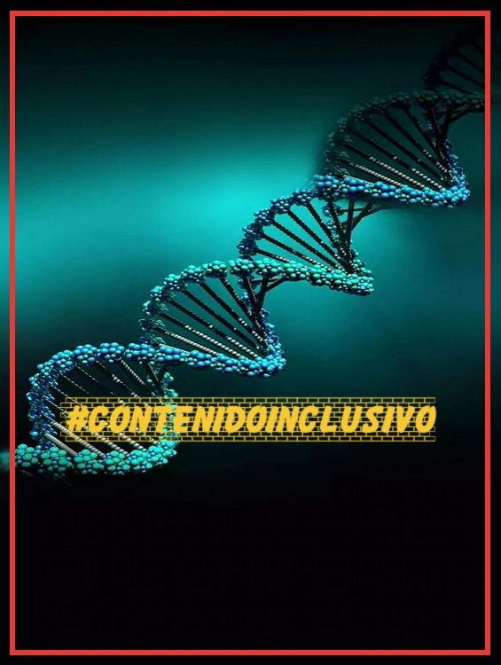 img relacionada con el artículo publicado